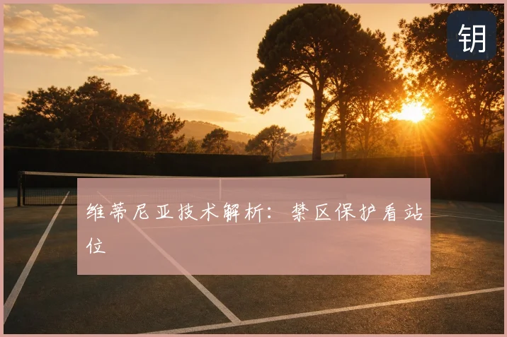 维蒂尼亚技术解析:禁区保护看站位